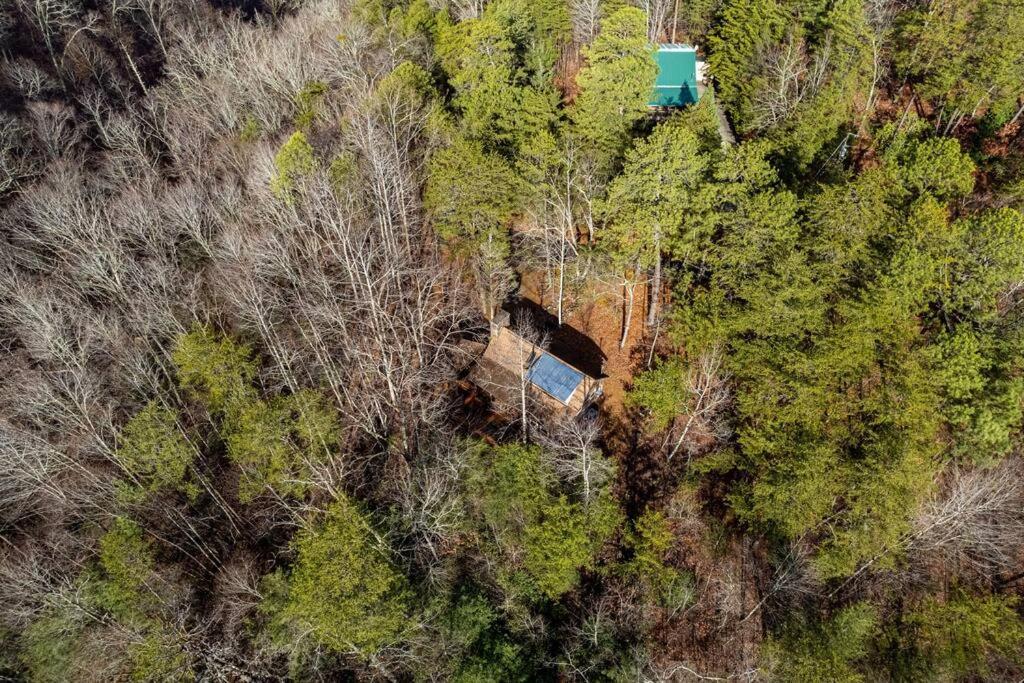 Very Private, Real Log Cabin With Hot Tub! Севьервилл Экстерьер фото