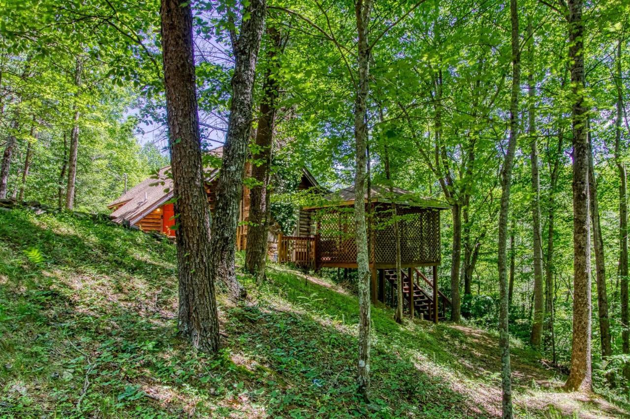 Very Private, Real Log Cabin With Hot Tub! Севьервилл Экстерьер фото