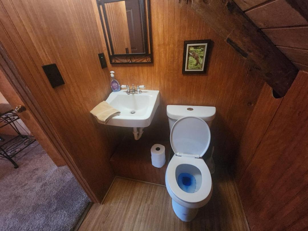 Very Private, Real Log Cabin With Hot Tub! Севьервилл Экстерьер фото